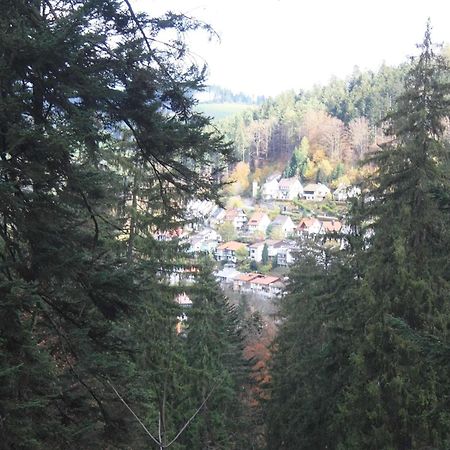 Relaxapartments Black Forest Diamond Direkt An Der Hornberger Freilichtbuehne - Sonnenterrasse Mit Blick Auf Das Hornberger Schloss, Schnelles Internet, Fuer Bis Zu 2 Personen Εξωτερικό φωτογραφία