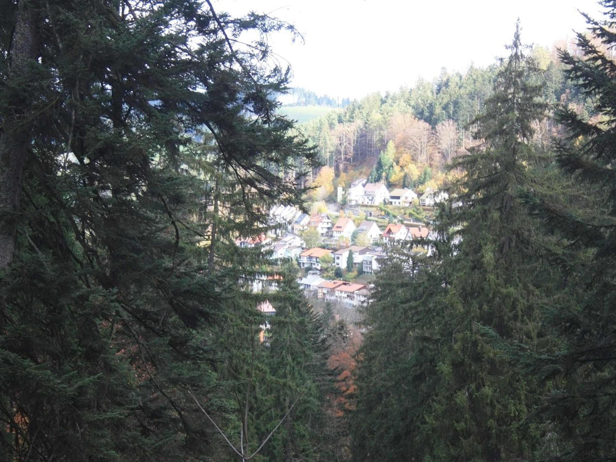 Relaxapartments Black Forest Diamond Direkt An Der Hornberger Freilichtbuehne - Sonnenterrasse Mit Blick Auf Das Hornberger Schloss, Schnelles Internet, Fuer Bis Zu 2 Personen Εξωτερικό φωτογραφία