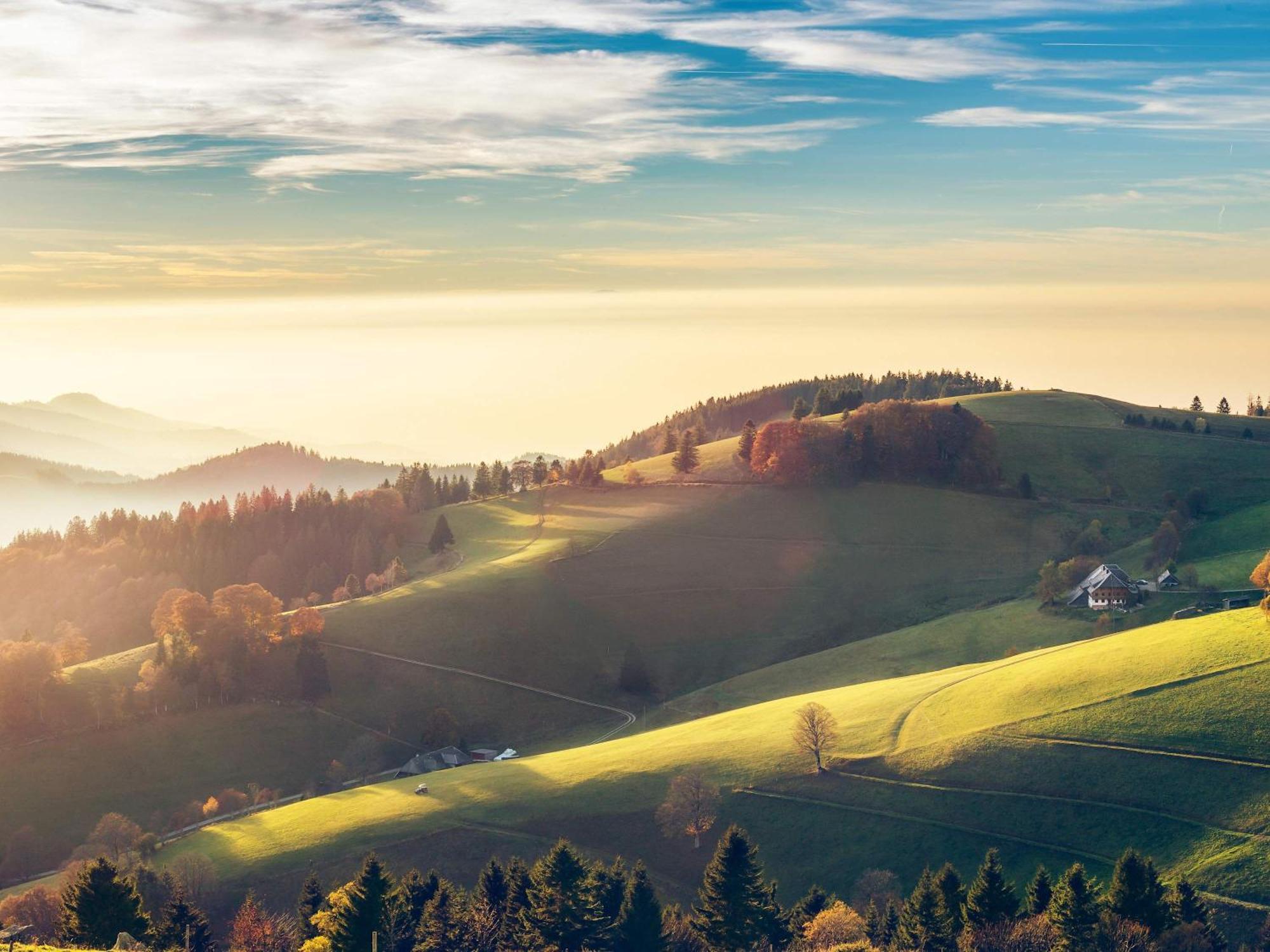 Relaxapartments Black Forest Diamond Direkt An Der Hornberger Freilichtbuehne - Sonnenterrasse Mit Blick Auf Das Hornberger Schloss, Schnelles Internet, Fuer Bis Zu 2 Personen Εξωτερικό φωτογραφία