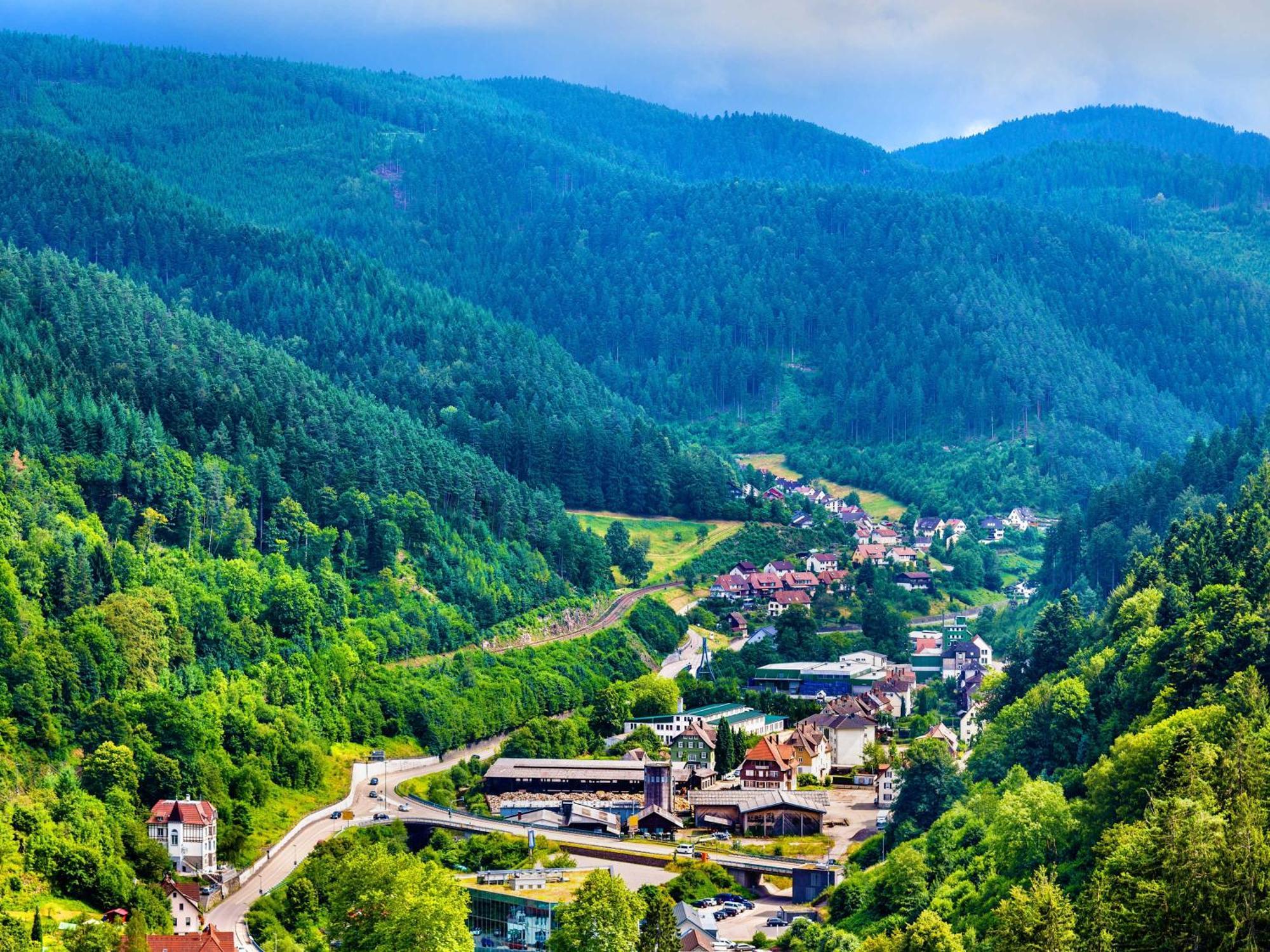 Relaxapartments Black Forest Diamond Direkt An Der Hornberger Freilichtbuehne - Sonnenterrasse Mit Blick Auf Das Hornberger Schloss, Schnelles Internet, Fuer Bis Zu 2 Personen Εξωτερικό φωτογραφία